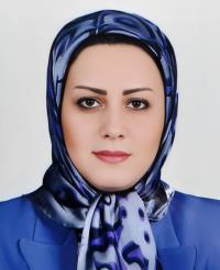 مینا جزائری جونقانی