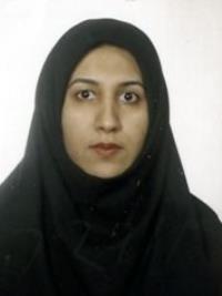 نرگس میرجلیلی