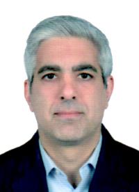 نوید حسنی مهربان