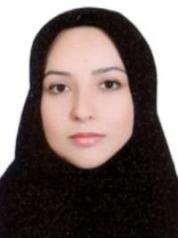 نیکو افسر