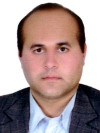 هادی برزگربفروئی