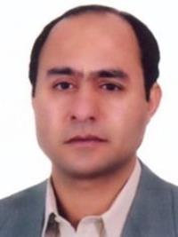 وحید ساجدی