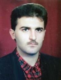 پرویز محمودی