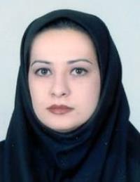 07b92c30-d339-11ee-b968-0242ac190002