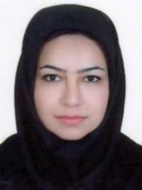 کوثر امیرخانلو