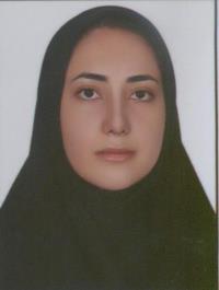 a49ada12-d31a-11ee-b968-0242ac190002