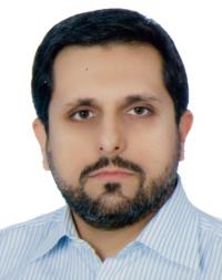 یاسر فتحی